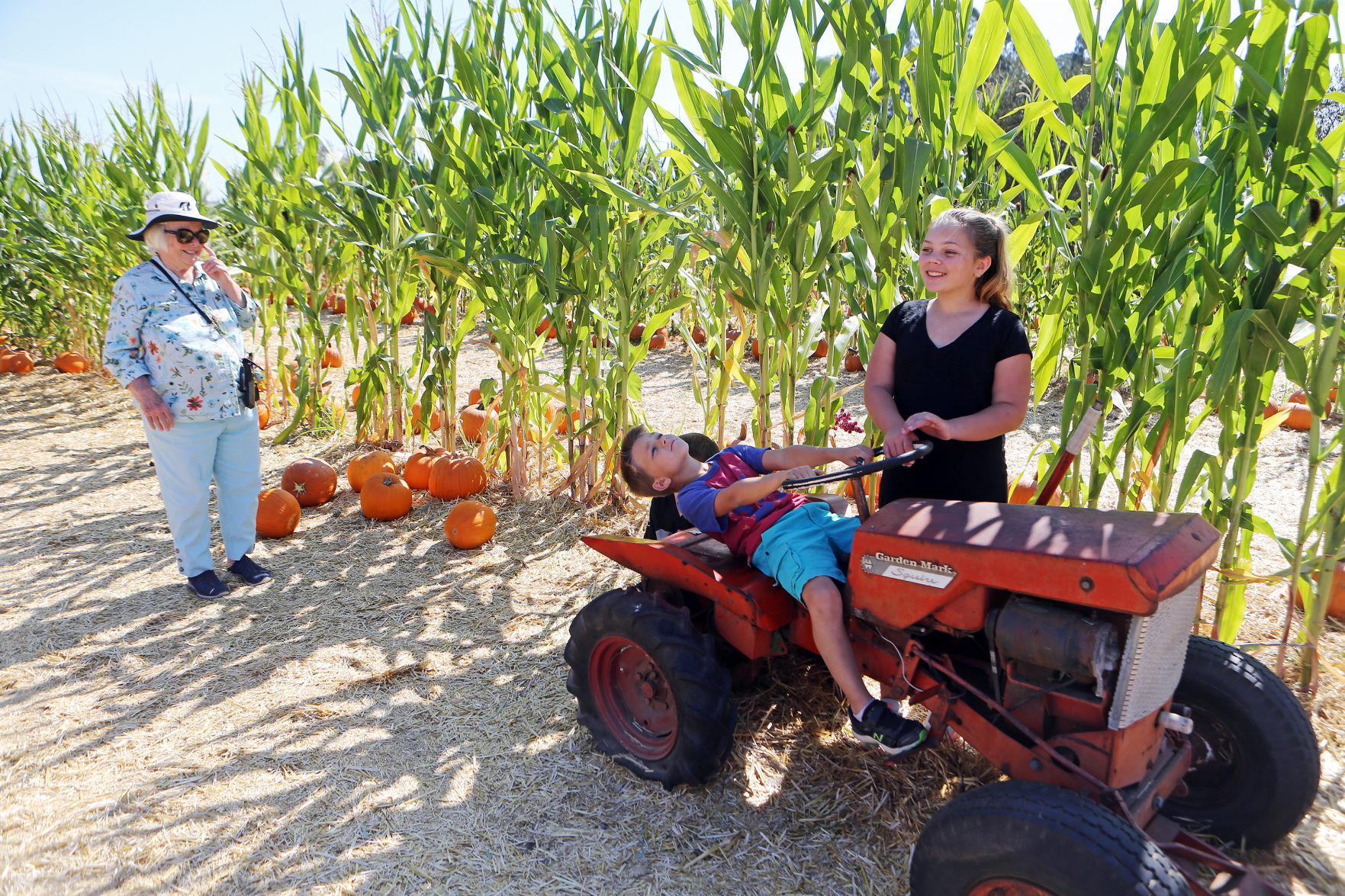 Stanly Lane Pumpkin Patch, Napa